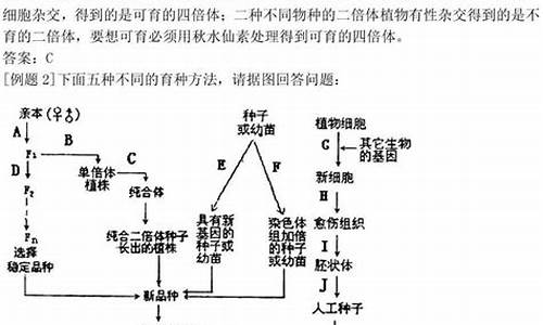 生物高考秒杀技巧,生物高考技巧