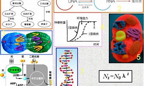 生物高考模型_高考生物模拟试题精编