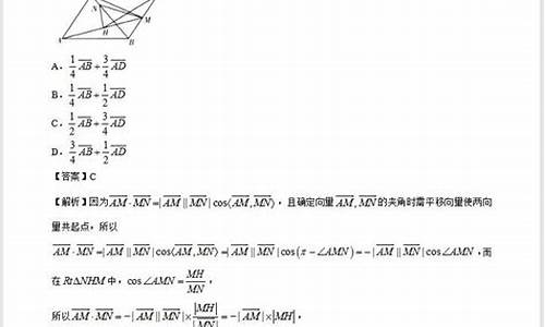 高考向量大题及答案,高考向量大题