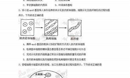 22年山东高考_2024山东高考理综