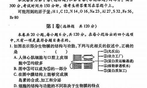 画龙点睛阅读题答案-画龙点睛高考模拟试卷