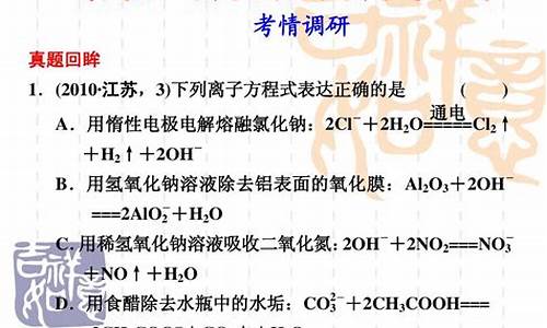 高考离子反应类型的题型-高考复习离子反应